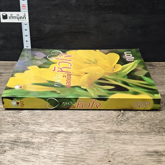หนังสือ ทุนรักดอกเบี้ยหัวใจ รูปที่ 2