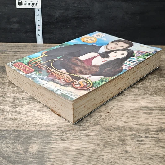 หนังสือ ไฟสวาทพญามาร รูปที่ 3