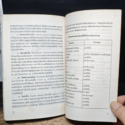 หนังสือ การเลี้ยงปลาดุก รูปที่ 8