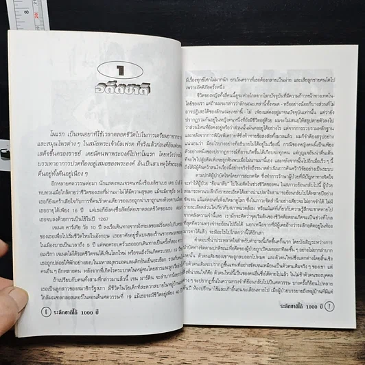 หนังสือ ระลึกชาติได้ 1,000 ปี รูปที่ 7