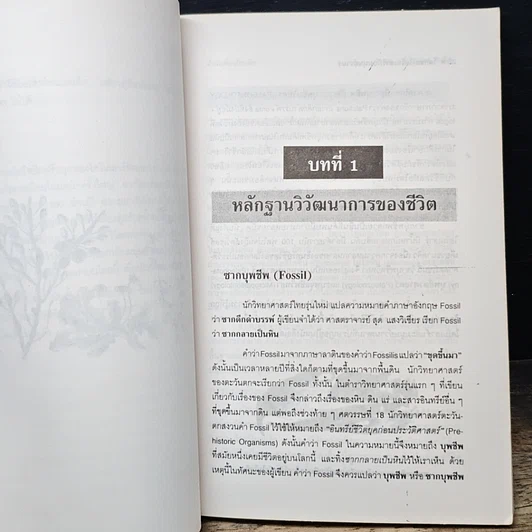 หนังสือ โลกของไดโนเสาร์กับมนุษย์วานร รูปที่ 9