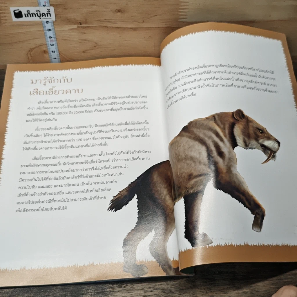 หนังสือ เซเบอร์ทูธไทเกอร์ รูปที่ 7