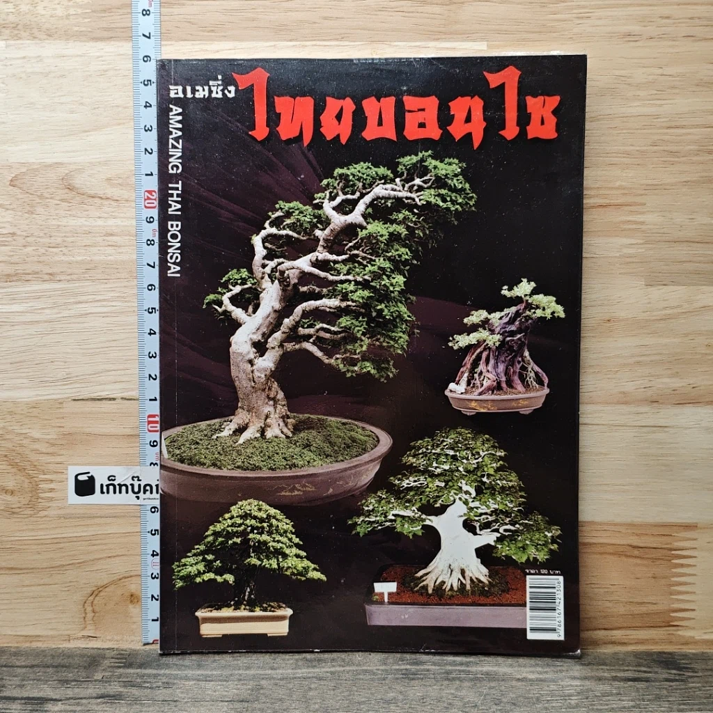 หนังสือ อเมซิ่ง ไทยบอนไซ รูปที่ 1