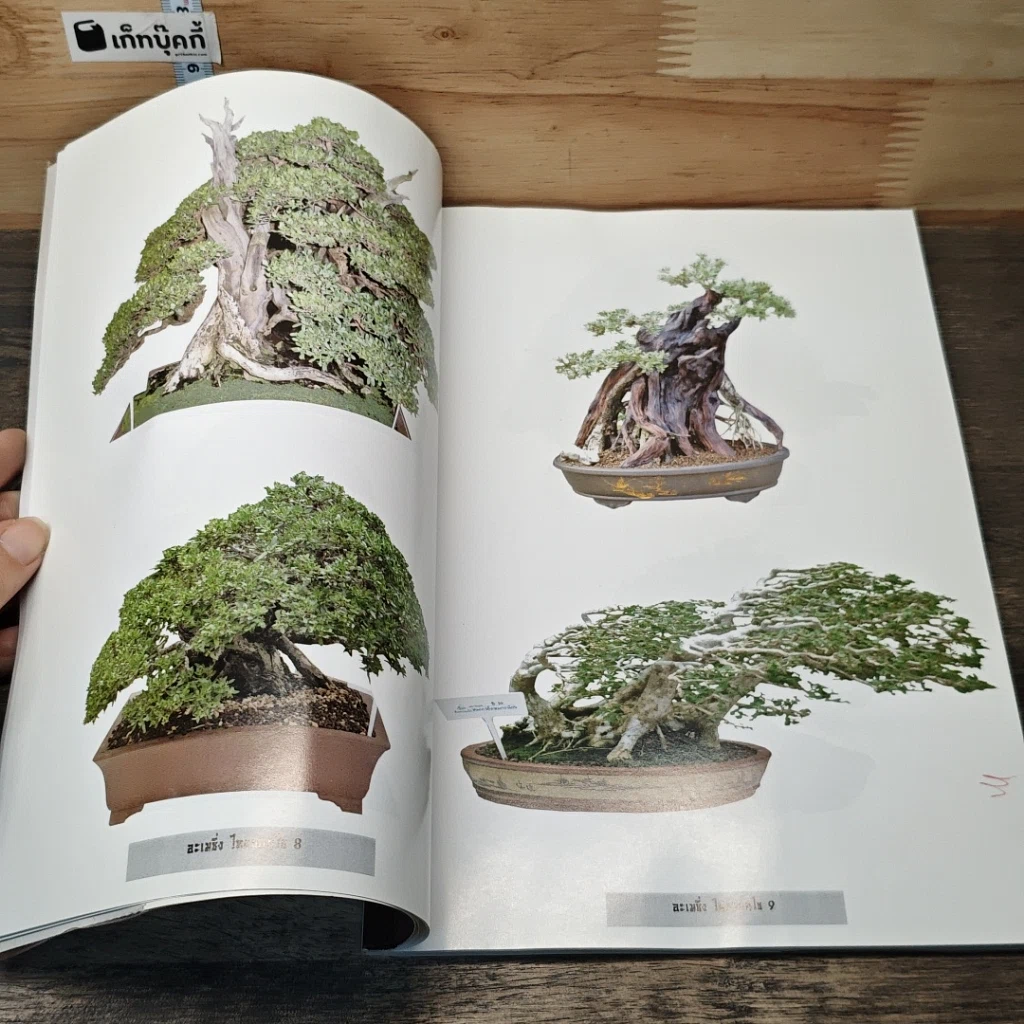 หนังสือ อเมซิ่ง ไทยบอนไซ รูปที่ 6