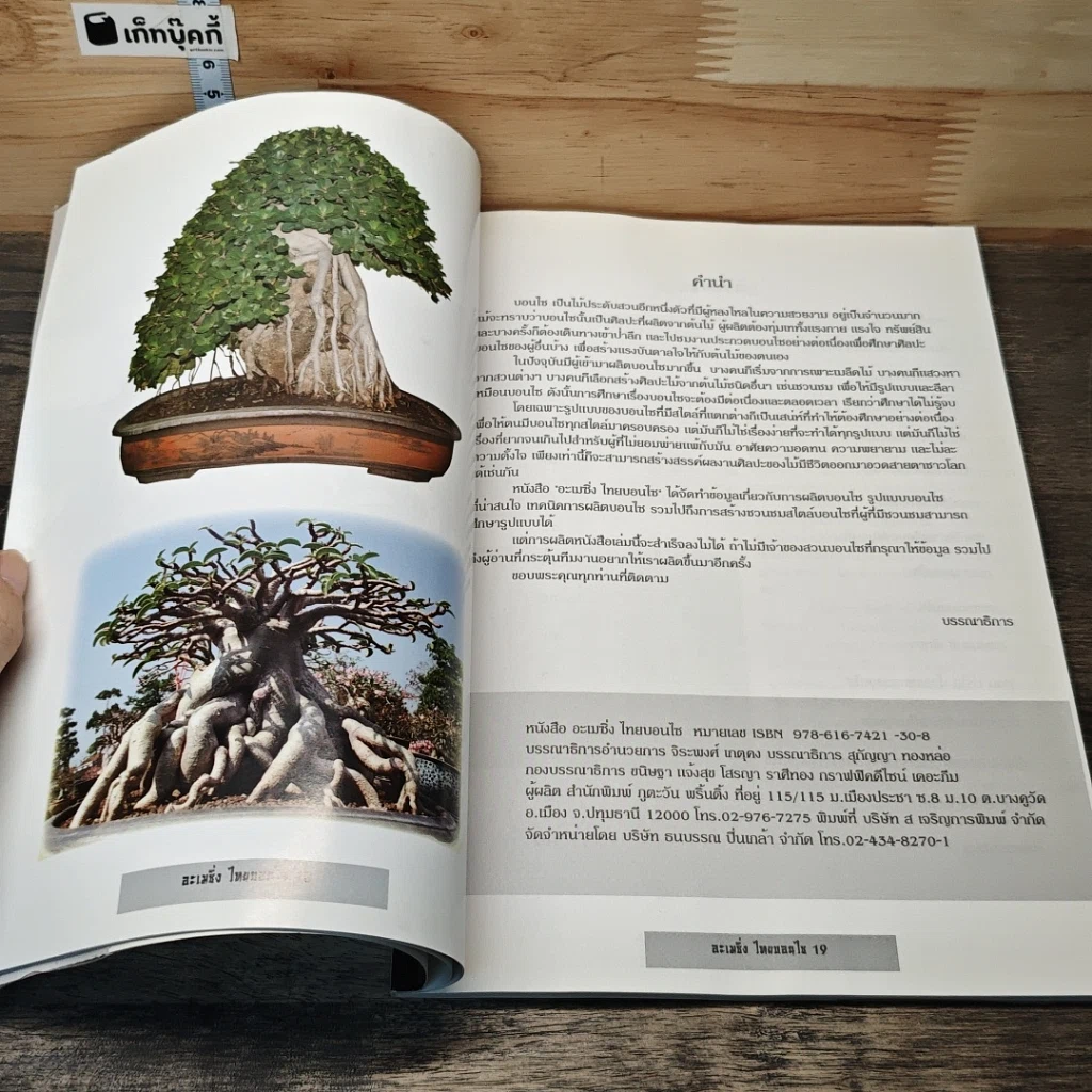 หนังสือ อเมซิ่ง ไทยบอนไซ รูปที่ 7