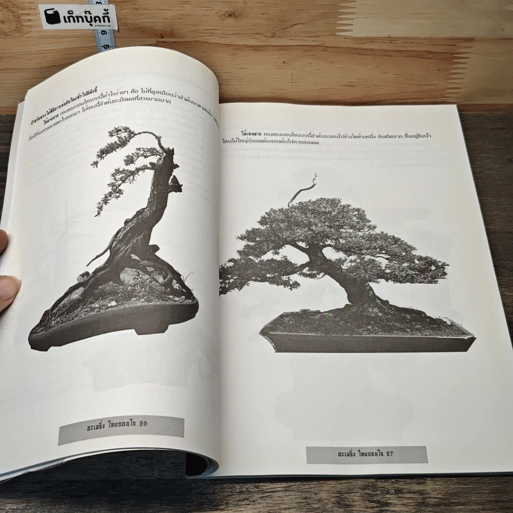 หนังสือ อเมซิ่ง ไทยบอนไซ รูปที่ 9