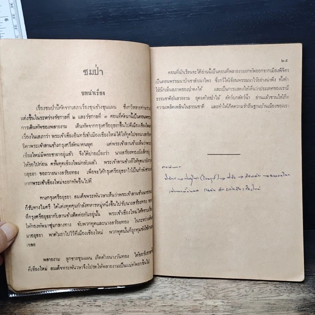 หนังสือ แบบเรียนวรรณคดีไทย เล่ม 3 ชั้นมัธยมศึกษาปีที่ 3 รูปที่ 11