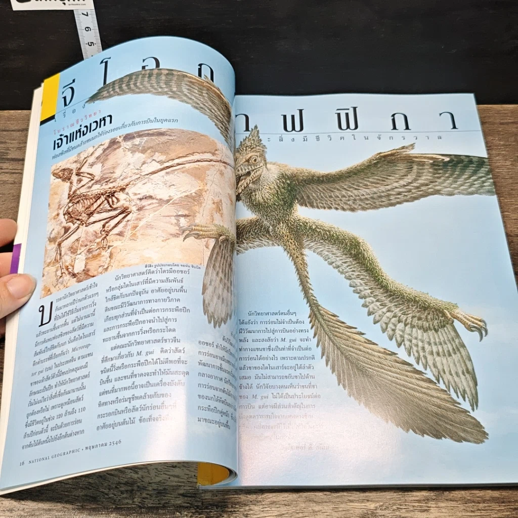 หนังสือ National Geographic พ.ค.2546 รูปที่ 8