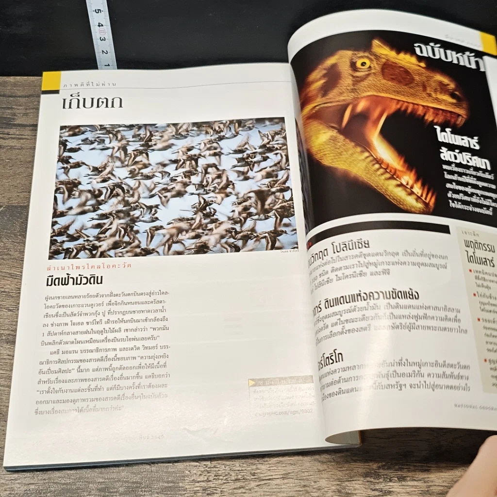 หนังสือ National Geographic ก.พ.2546 รูปที่ 9