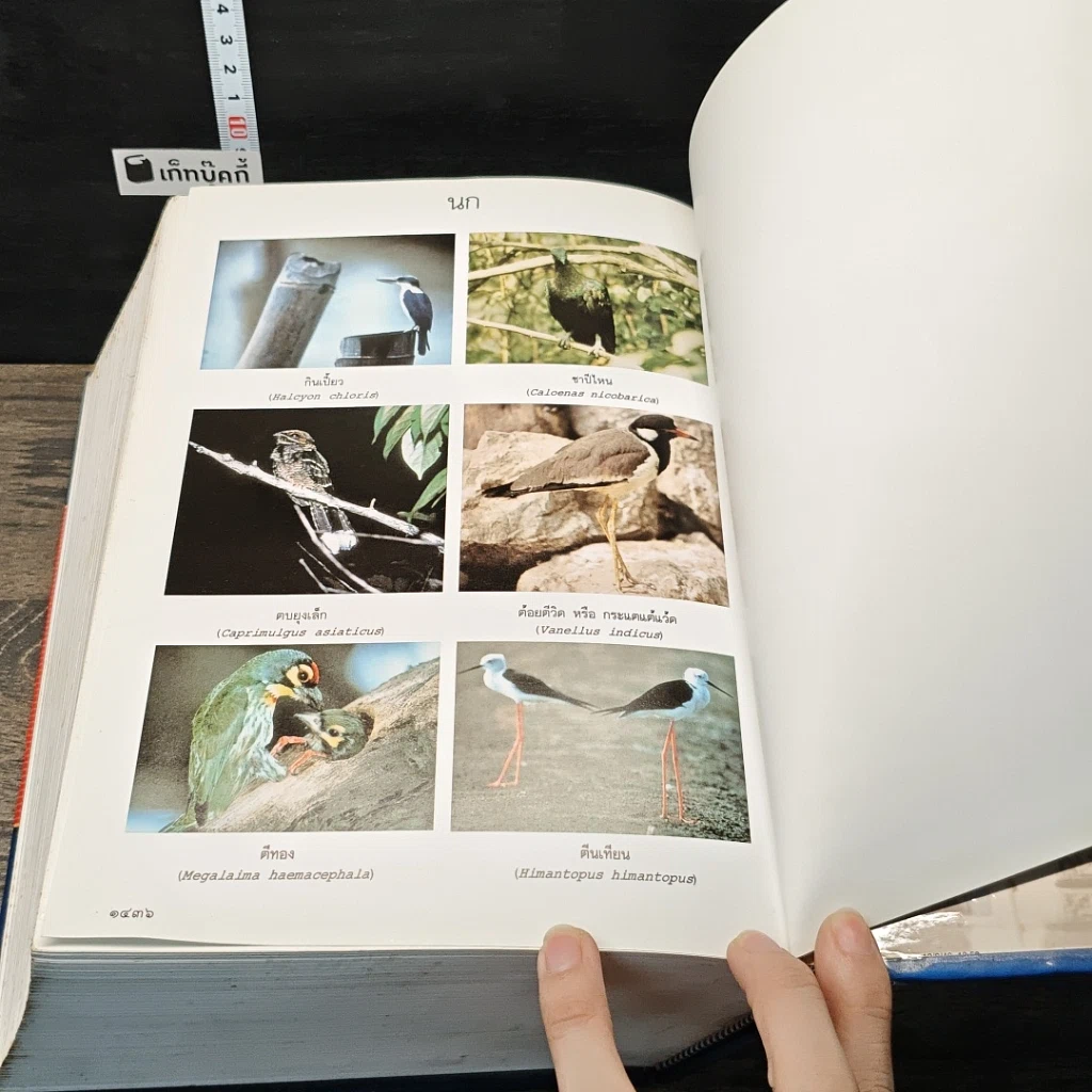 หนังสือ พจนานุกรม ฉบับราชบัณฑิตยสถาน พ.ศ. 2542 รูปที่ 10