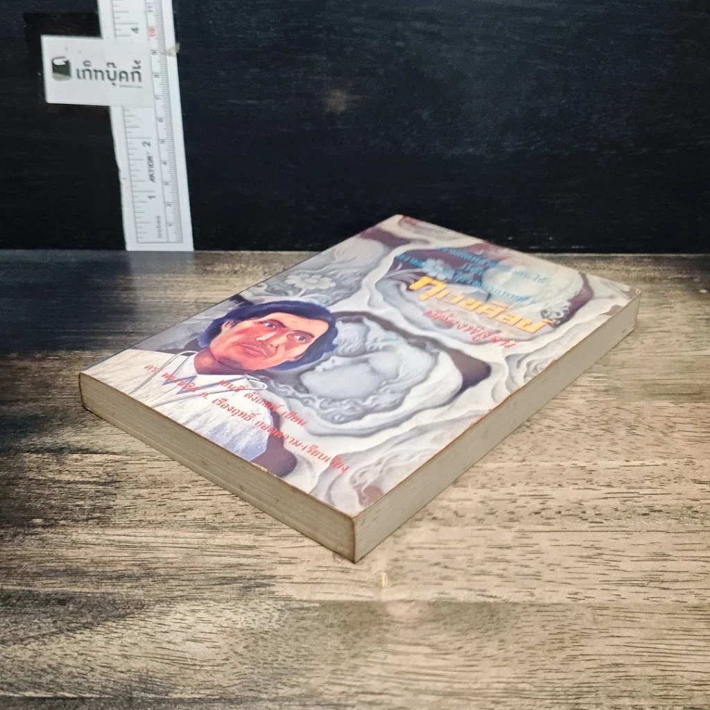 หนังสือ ทุเวชศิลป์ที่ต้องพิสูจน์ รูปที่ 4