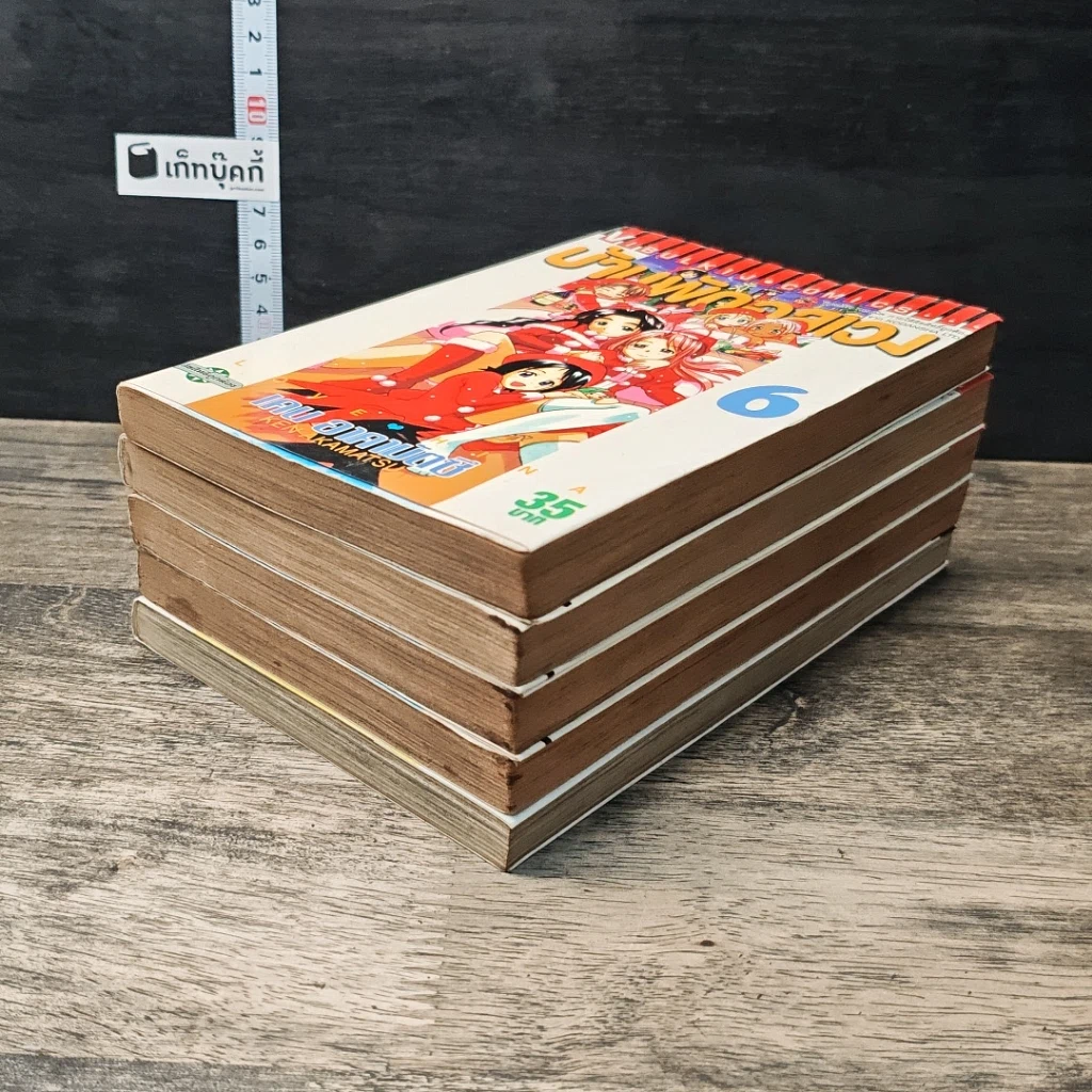 บ้านพักอลเวง เล่ม 1-4, 6 รูปที่ 4