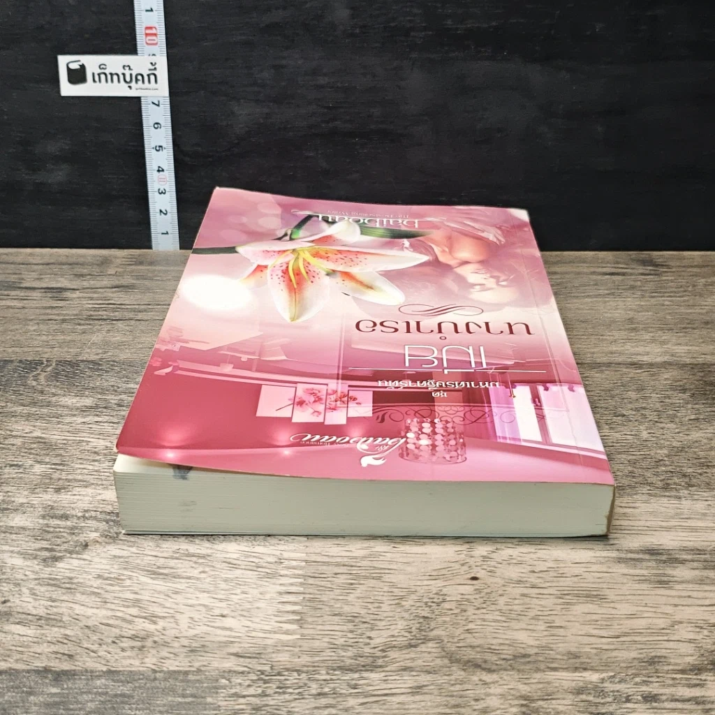 หนังสือ เมียนางบำเรอ รูปที่ 4