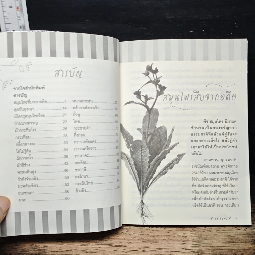 หนังสือ ฟิตปึ๋ง บึงบัง พลังสมุนไพรไทย รูปที่ 7