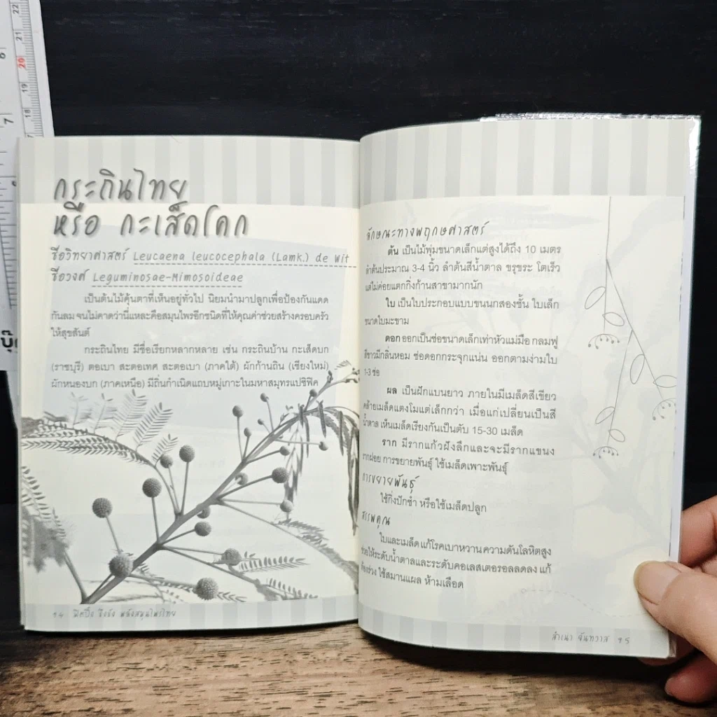 หนังสือ ฟิตปึ๋ง บึงบัง พลังสมุนไพรไทย รูปที่ 8
