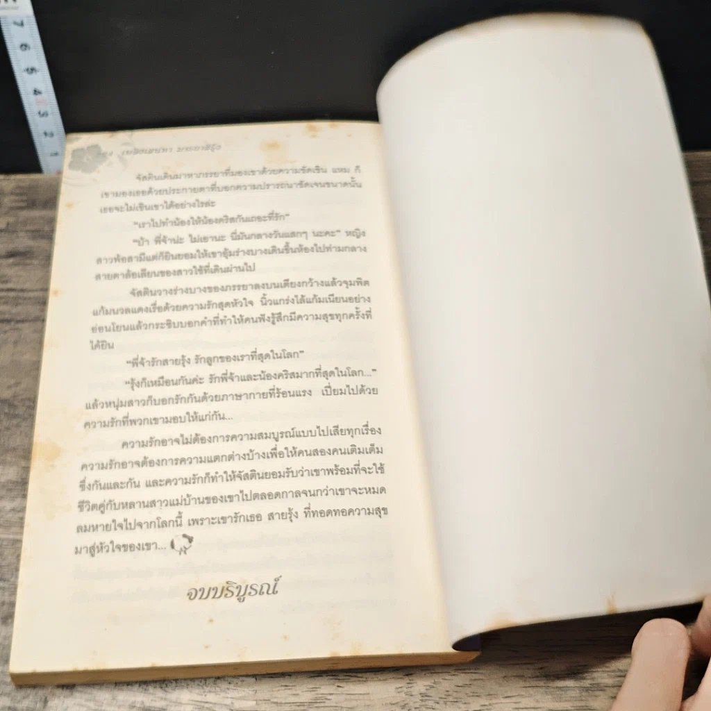หนังสือ เพลิงเสน่หามารยาสีรุ้ง รูปที่ 8