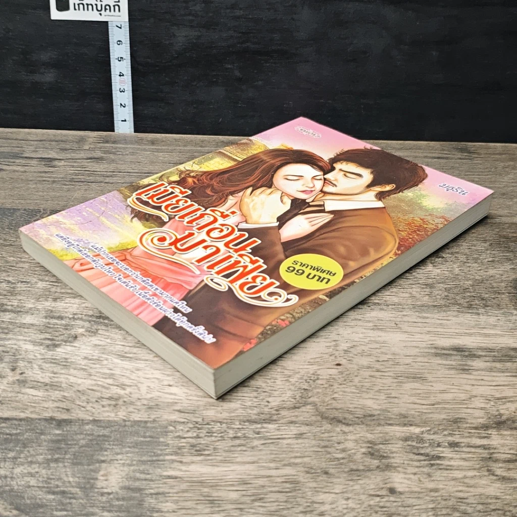 หนังสือ เมียเถื่อนมาเฟีย รูปที่ 3