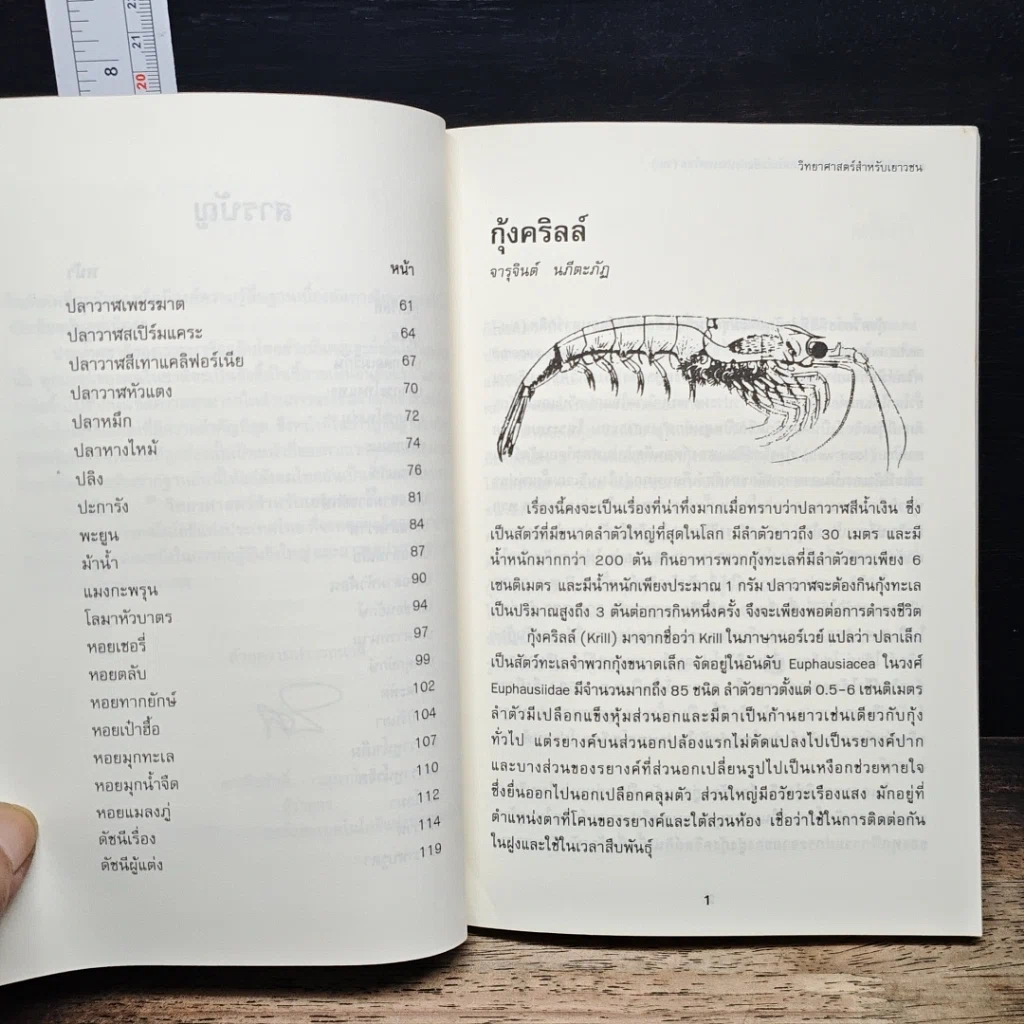 หนังสือ วิทยาศาสตร์สำหรับเยาวชน ชุด สัตว์น่ารู้ เล่ม 3 รูปที่ 8
