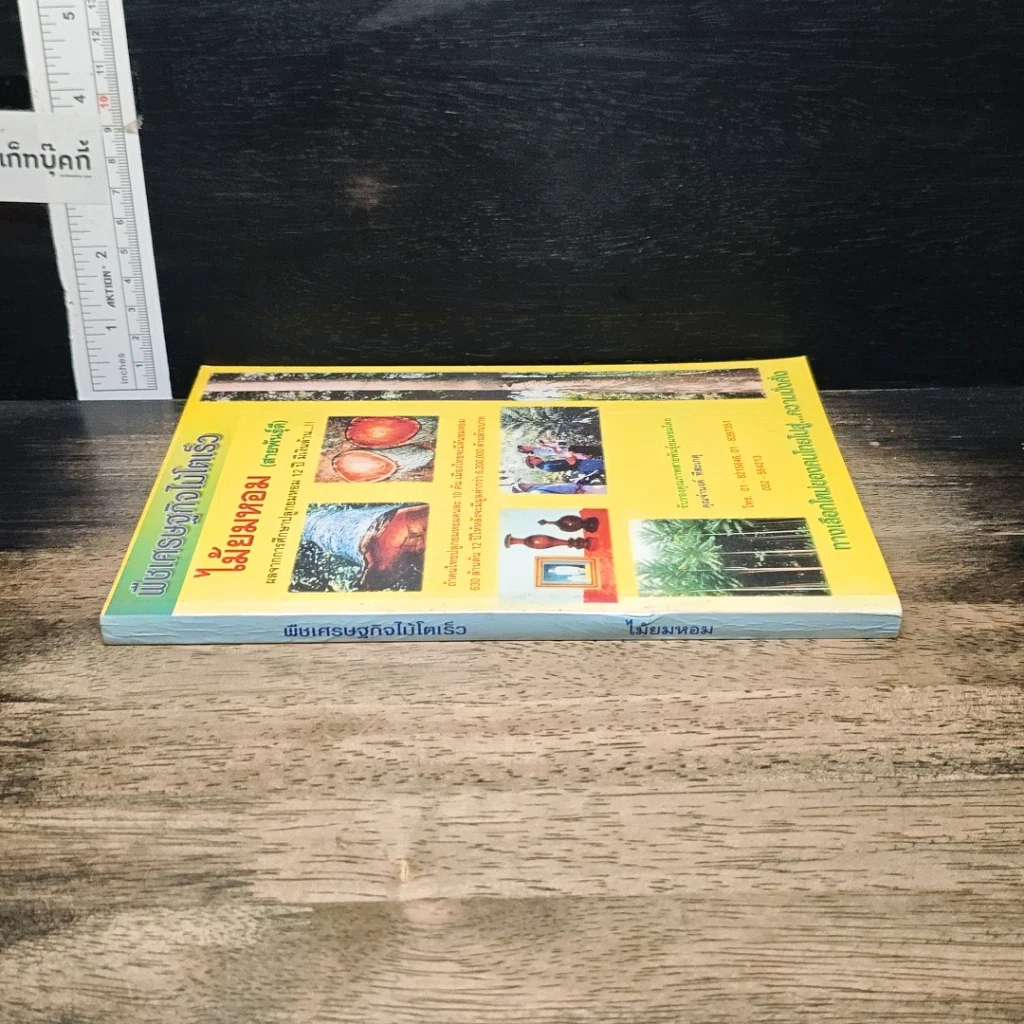 หนังสือ พืชเศรษฐกิจไม้โตเร็ว ไม้ยมหอม (สายพันธุ์ดี) รูปที่ 3