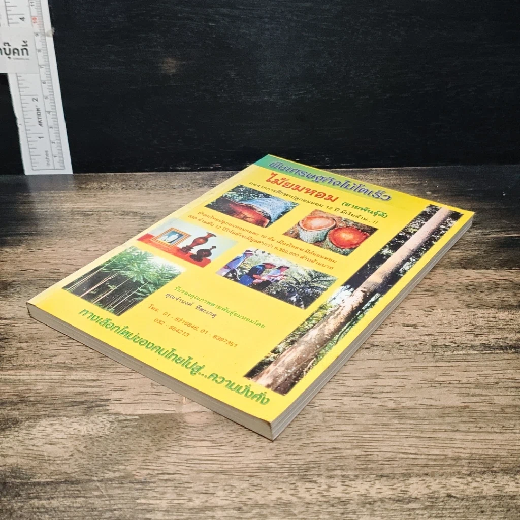 หนังสือ พืชเศรษฐกิจไม้โตเร็ว ไม้ยมหอม (สายพันธุ์ดี) รูปที่ 4