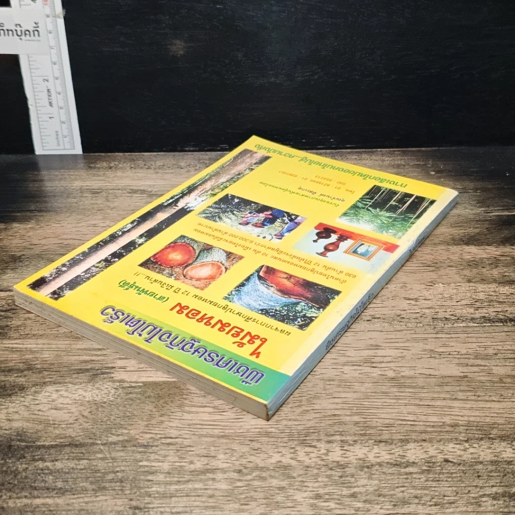 หนังสือ พืชเศรษฐกิจไม้โตเร็ว ไม้ยมหอม (สายพันธุ์ดี) รูปที่ 5