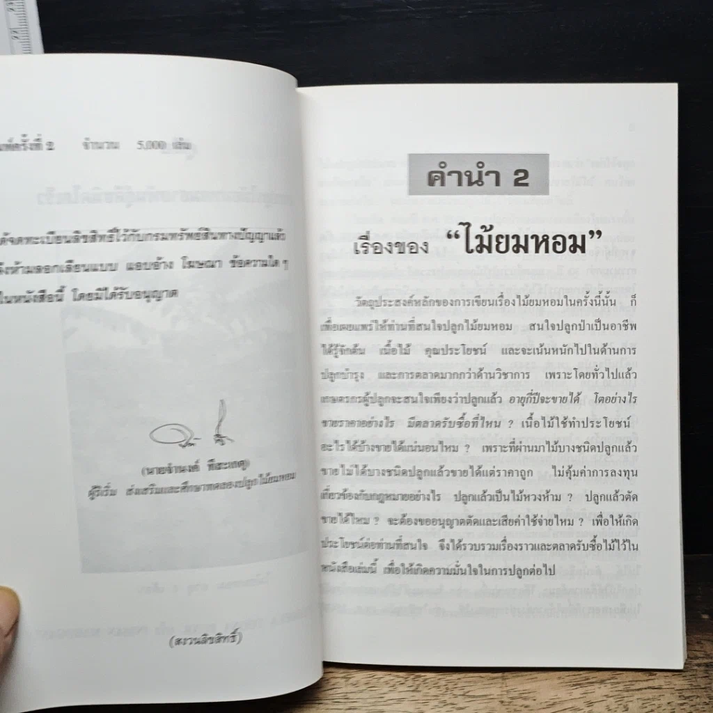หนังสือ พืชเศรษฐกิจไม้โตเร็ว ไม้ยมหอม (สายพันธุ์ดี) รูปที่ 6