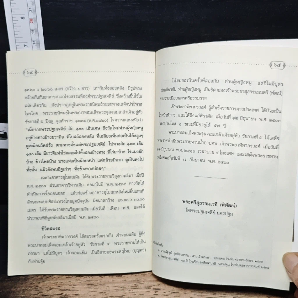 พระปฐมเจดีย์ รูปที่ 7