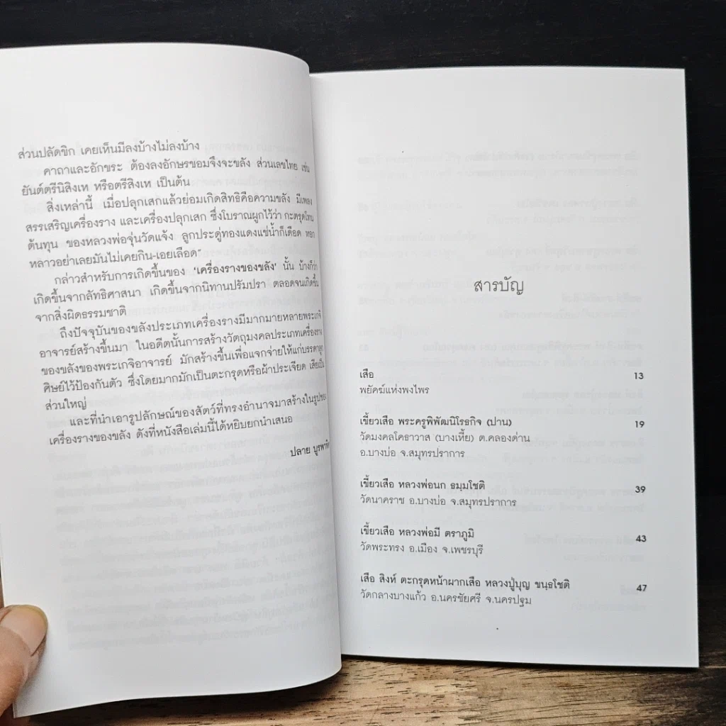 เสือ-สิงห์ สรรพสัตว์ในเครื่องรางของขลัง รูปที่ 7
