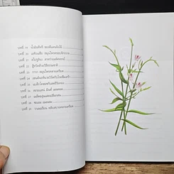 หนังสือ สุดยอดสมุนไพรเพื่อสุขภาพ รูปที่ 8