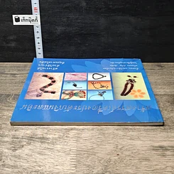หนังสือ สร้างสรรค์เครื่องประดับเงินและหิน รูปที่ 4