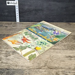 หนังสือ ผักพื้นบ้าน อาหารพื้นเมือง รูปที่ 3