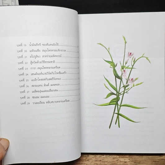 หนังสือ สุดยอดสมุนไพรเพื่อสุขภาพ รูปที่ 8