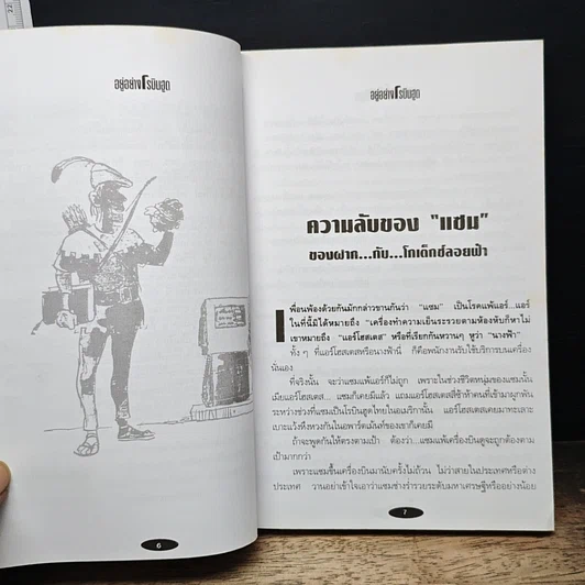 อยู่อย่างโรบินฮูด ชีวิตไทยในอเมริกา รูปที่ 7
