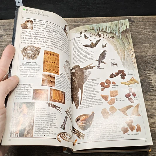 หนังสือ Thailand: Archipelago Guides รูปที่ 7