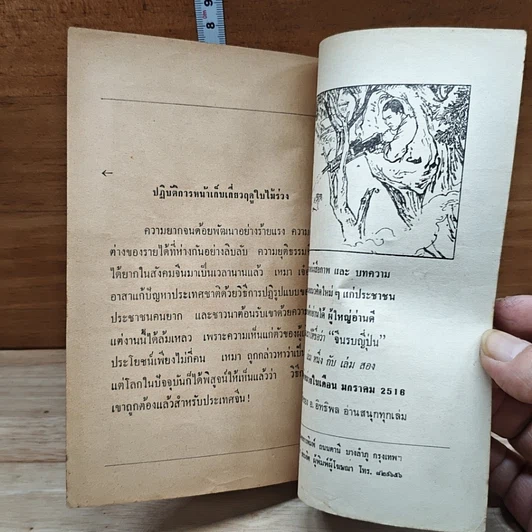 หนังสือ หลังม่านไม้ไผ่ รูปที่ 8