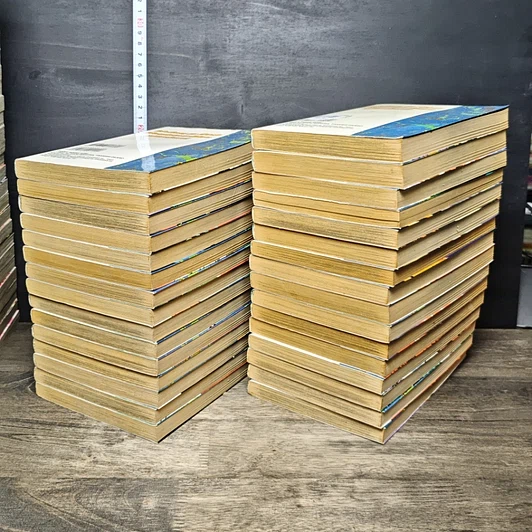 หนังสือ มืออสูรล่าปีศาจ 31 เล่มจบ รูปที่ 4