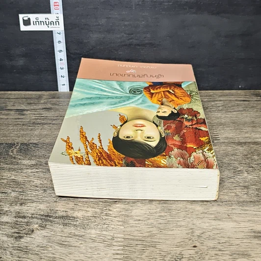 หนังสือ ผู้ใหญ่ลีกับนางมา รูปที่ 4