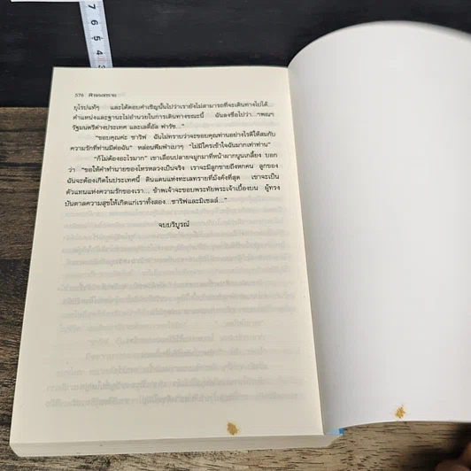หนังสือ ฟ้าจรดทราย รูปที่ 8