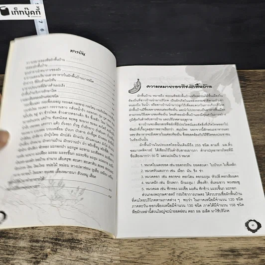 หนังสือ ผักพื้นบ้าน อาหารพื้นเมือง รูปที่ 7