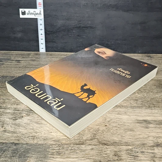 หนังสือ เจ้าหญิงทะเลทราย รูปที่ 3
