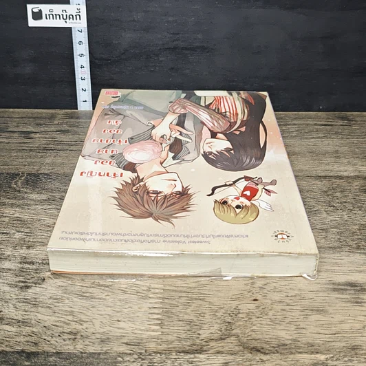 หนังสือ เจ้าหญิงของนาย เจ้าชายของฉัน รูปที่ 4