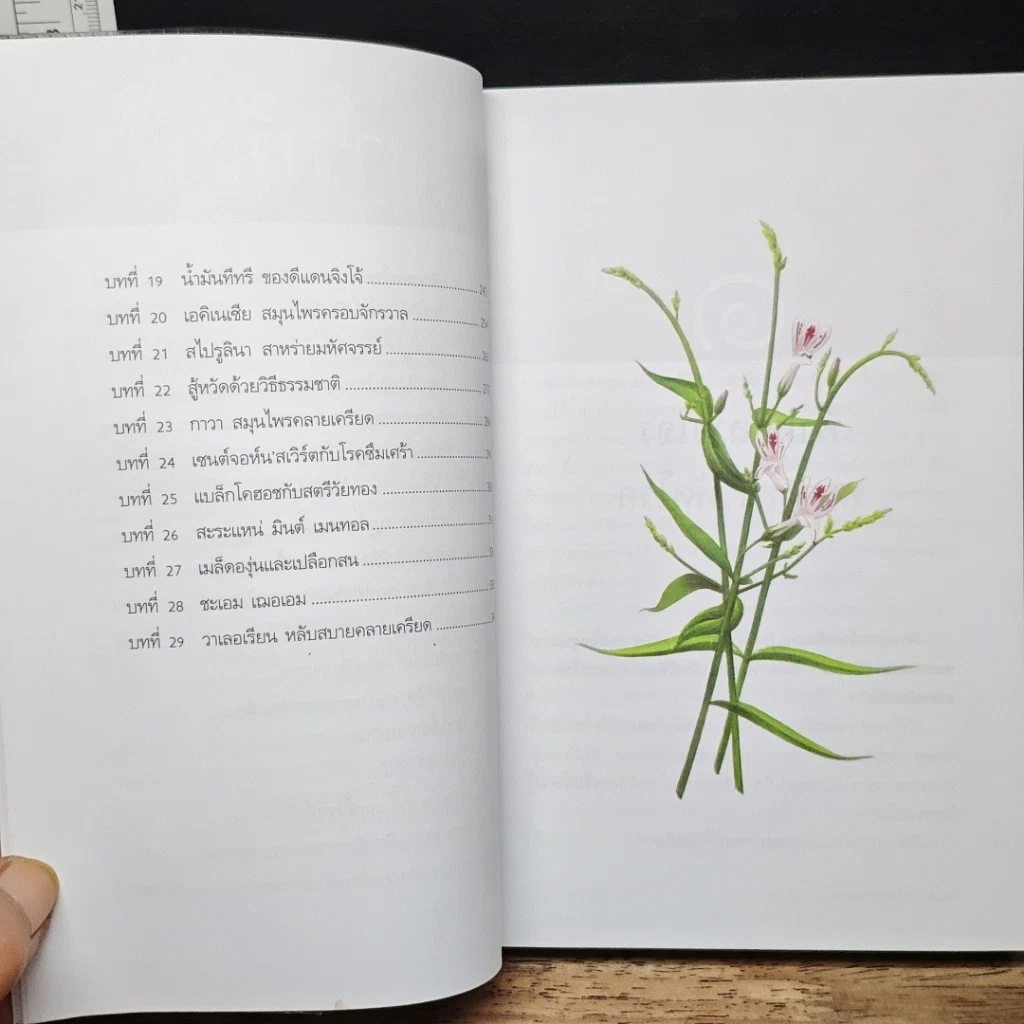 หนังสือ สุดยอดสมุนไพรเพื่อสุขภาพ รูปที่ 8