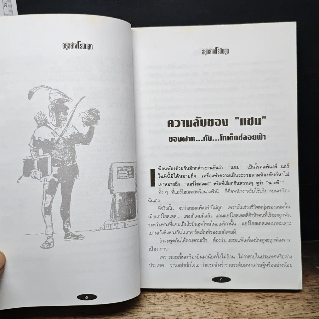 อยู่อย่างโรบินฮูด ชีวิตไทยในอเมริกา รูปที่ 7