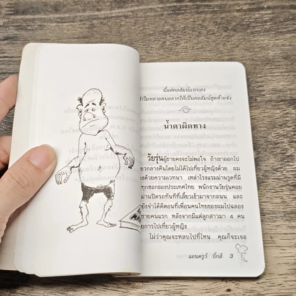 หนังสือ เมืองไทยในสายตาผม รูปที่ 8