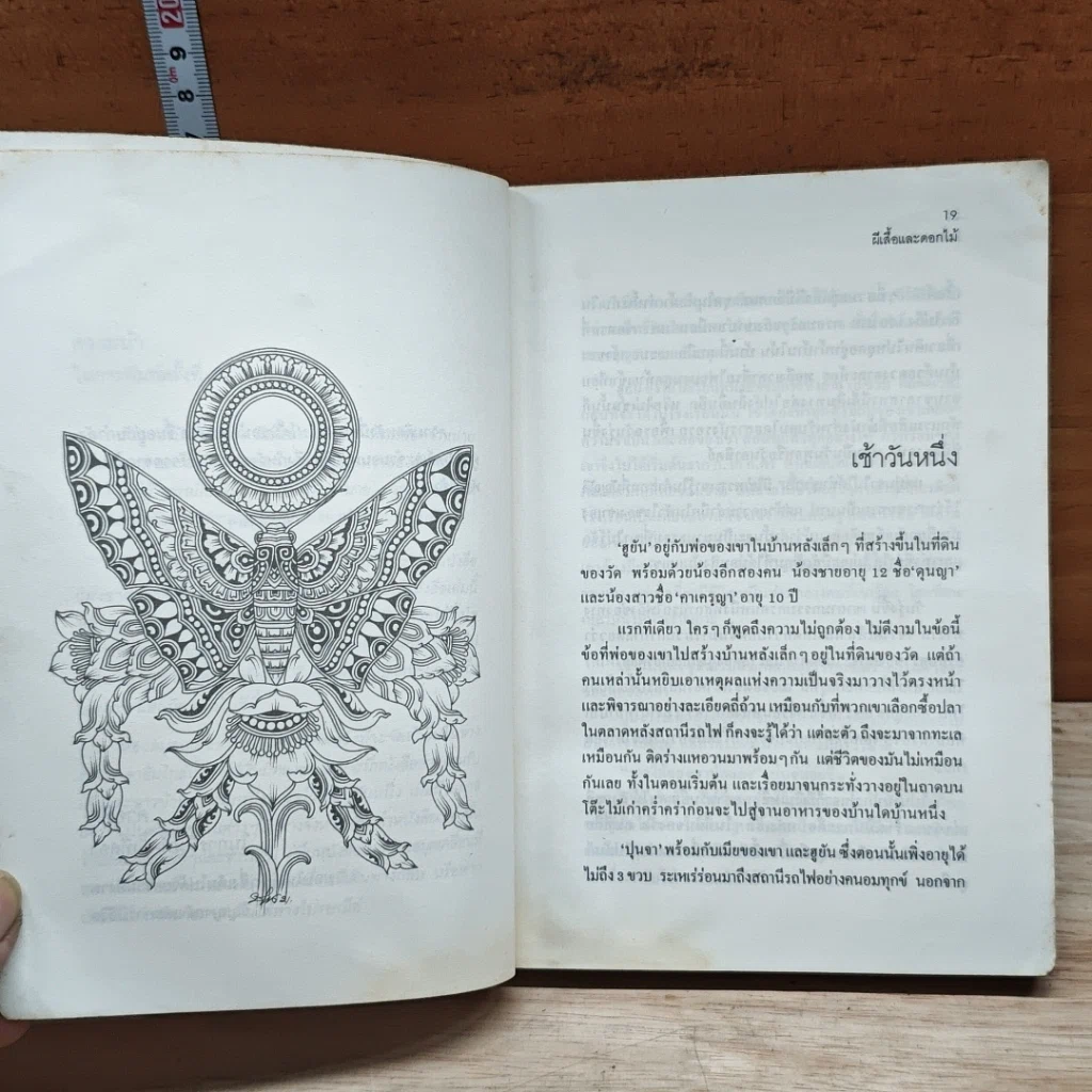 หนังสือ ผีเสื้อและดอกไม้ รูปที่ 7