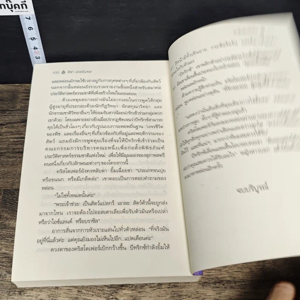 หนังสือ นิยายโรมานซ์ สาส์นรักปักใจ รูปที่ 8