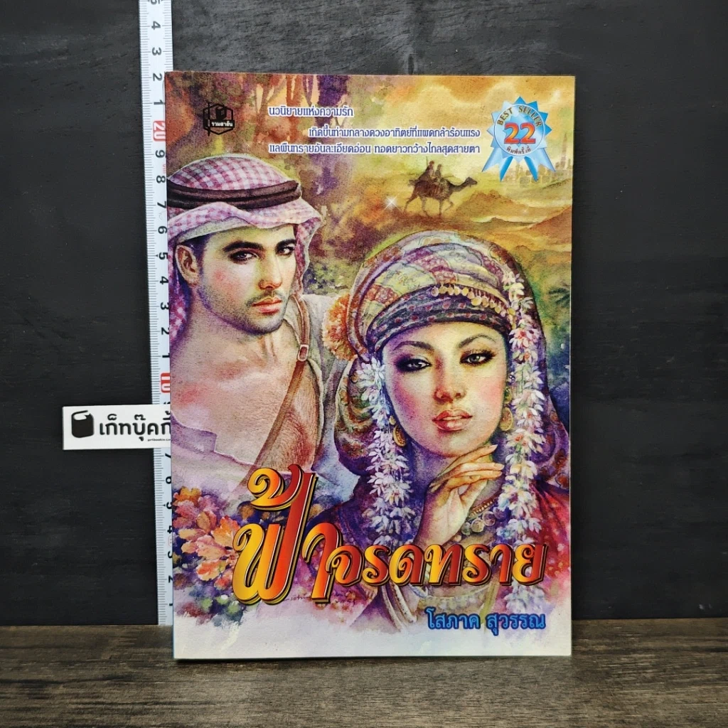 หนังสือ ฟ้าจรดทราย รูปที่ 1