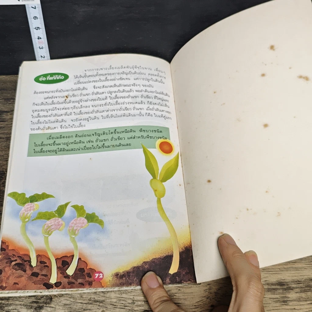 หนังสือ ชีวิตน่ารู้ รูปที่ 8