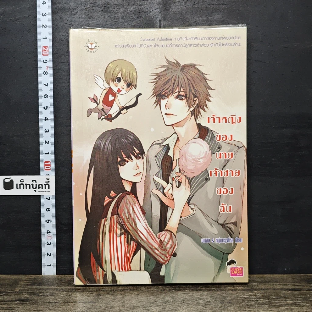 หนังสือ เจ้าหญิงของนาย เจ้าชายของฉัน รูปที่ 1