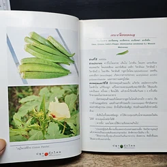 หนังสือ คู่มือคนปลูกต้นไม้ ปลูกผักไทย ได้ทั้งอาหารและยา รูปที่ 9